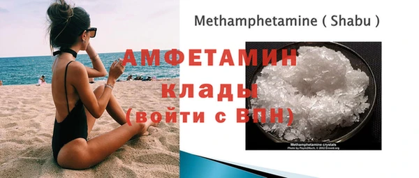 шишки Новодвинск