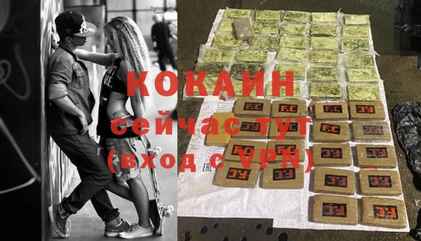 шишки Новодвинск