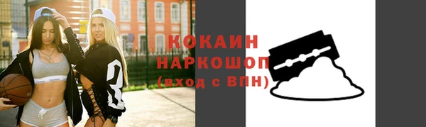 шишки Новодвинск