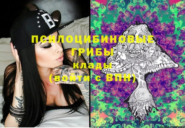 шишки Новодвинск