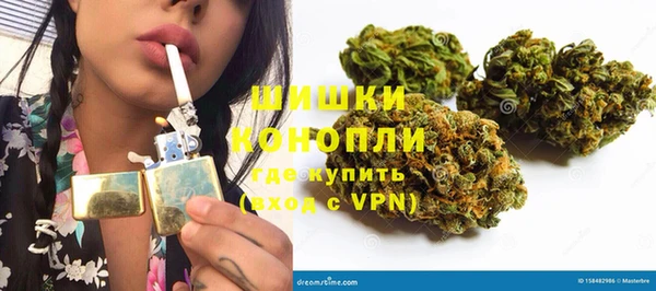 шишки Новодвинск