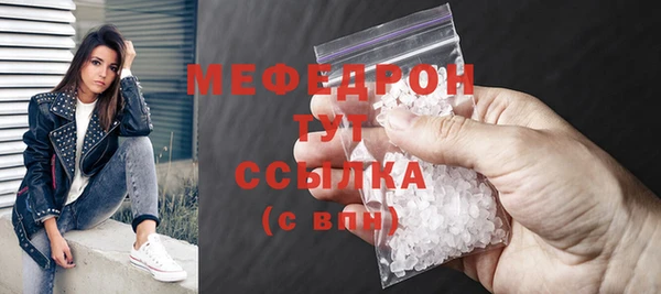 шишки Новодвинск