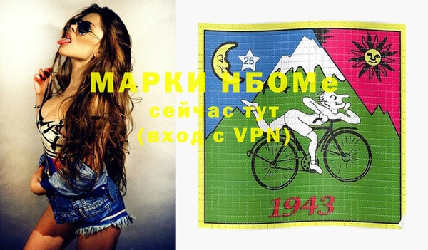 шишки Новодвинск