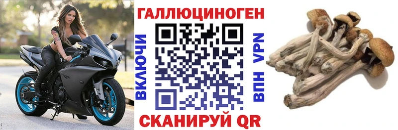 МЕГА как войти  Мамадыш  Псилоцибиновые грибы мицелий 